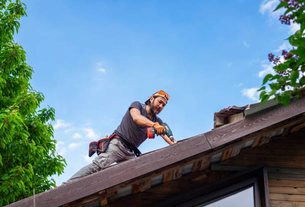 Best Gutter Installation and Repair  in Channel Lake, IL