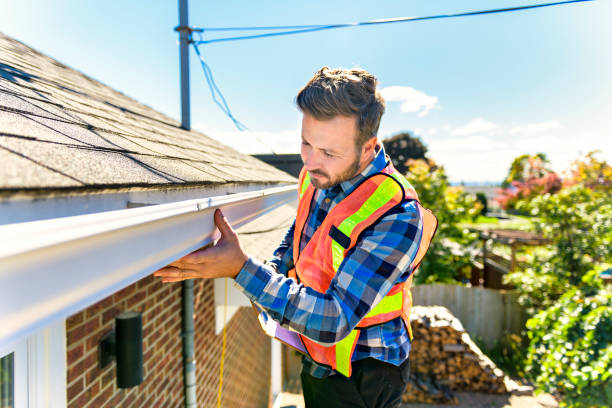 Best Roof Moss and Algae Removal  in Channel Lake, IL