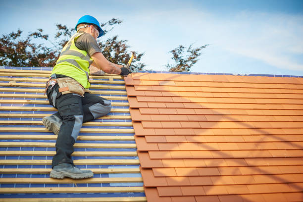 Best Roof Insulation Installation  in Channel Lake, IL