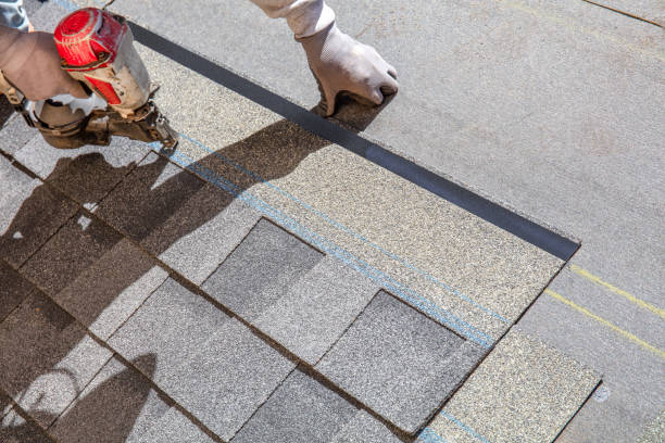 Best Roof Coating Services  in Channel Lake, IL